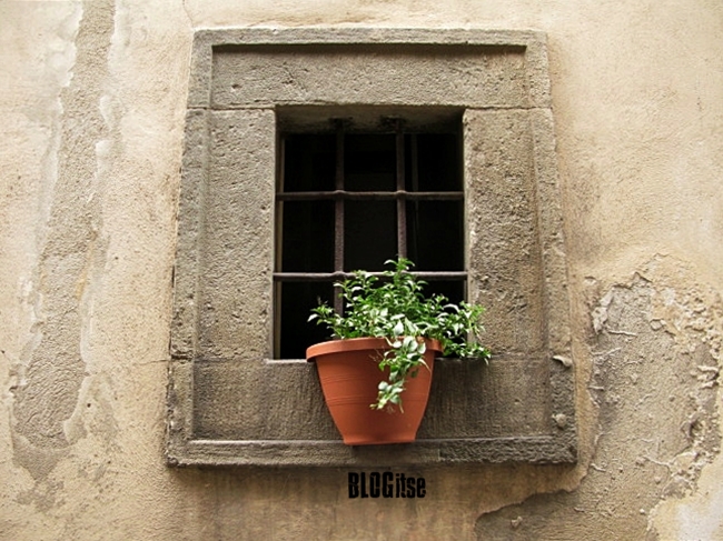 a window in Cortona, Italy by BLOGitse