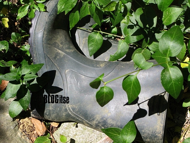 tired rubber boots by BLOGitse