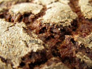macro week #30 'food' rye bread by BLOGitse