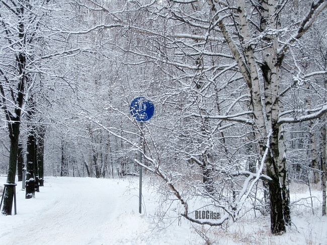snow in Helsinki by BLOGitse