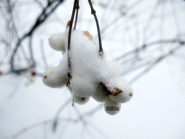winter by BLOGitse