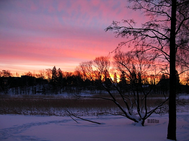 sunrise Helsinki 28.1.12 at 8 34 am by BLOGitse