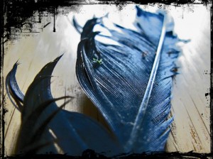 crow's feather by BLOGitse