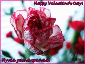 Valentine's Day Ystävänpäivä 14.2.2014 by BLOGitse