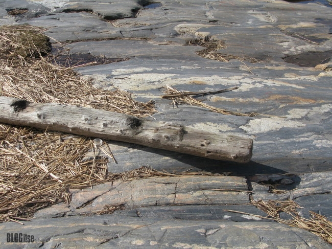 driftwood with shadow by BLOGitse
