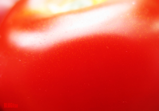 red tomato by BLOGitse
