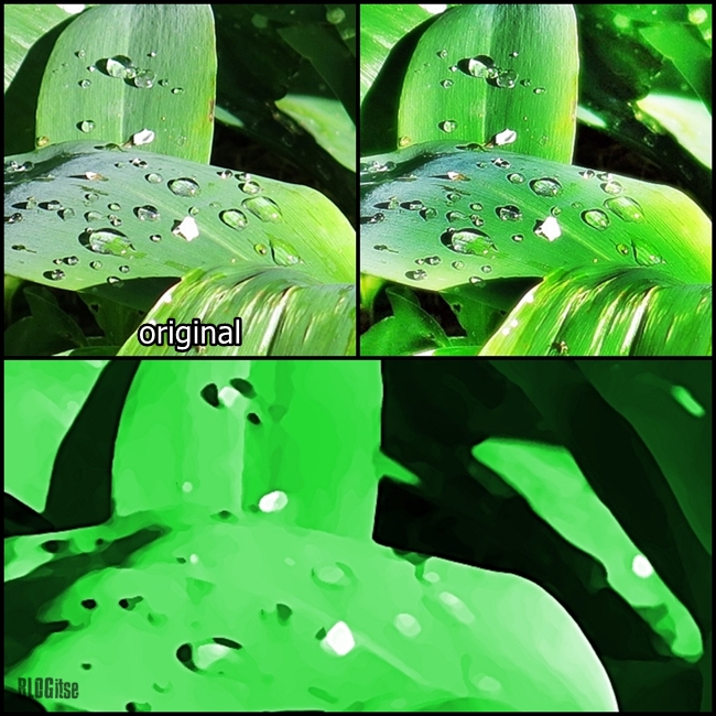 green leaves with rain drops by BLOGitse