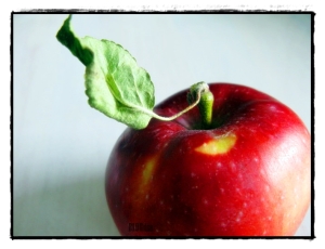 eat me said red apple by BLOGitse
