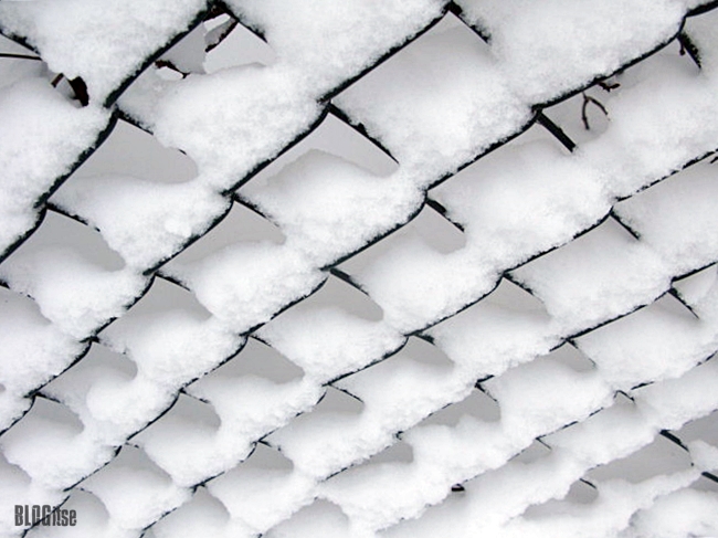 snow - nature's pant by BLOGitse