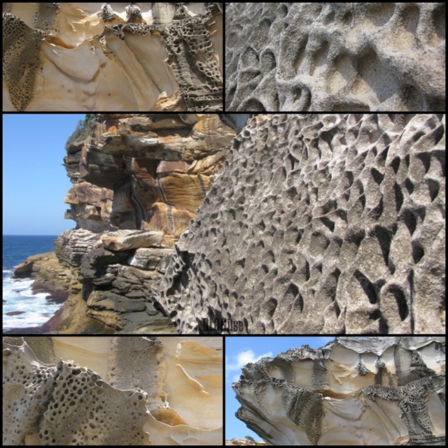 Bronte beach rocks Sydney Australia by BLOGitse