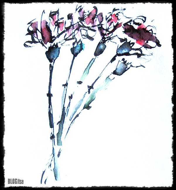 Dianthus Caryophyllus, neilikka, watercolor painted by BLOGitse