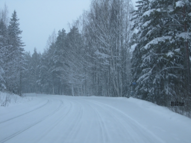 snowy road_1 by BLOGitse