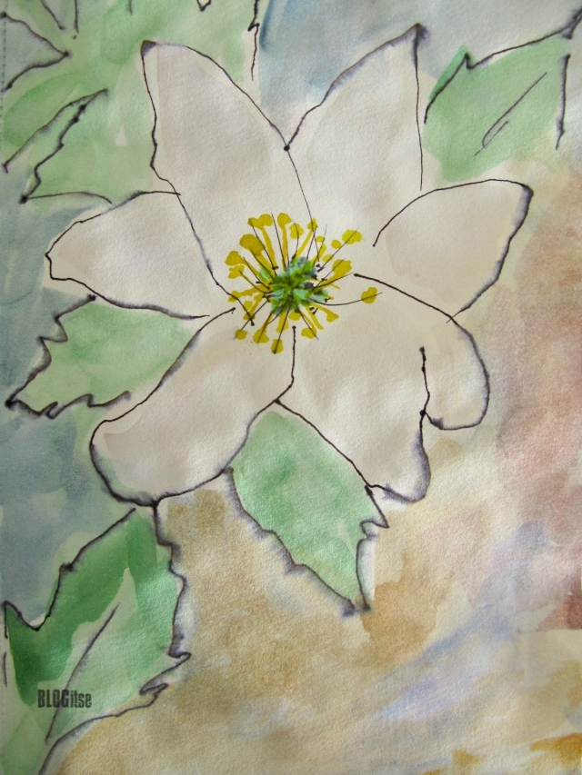 Theme Art challenge May 2017 5 mins_complete wood anemone by BLOGitse