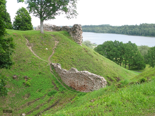 Ruins of the Viljandi Order Castle_7 by BLOGitse
