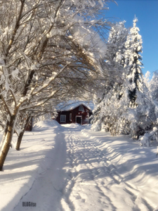 winter 2019 in Finland by BLOGitse