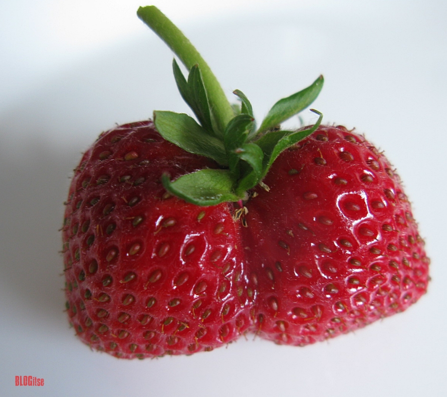 strawberry love by BLOGitse