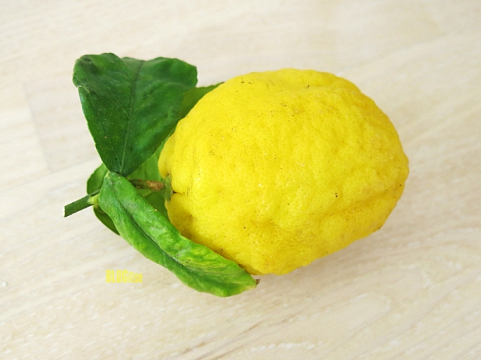 Sorrento Italy lemon by BLOGitse