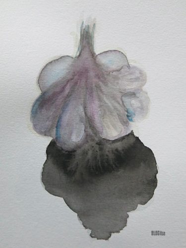 garlic valkosipuli 1 by BLOGitse